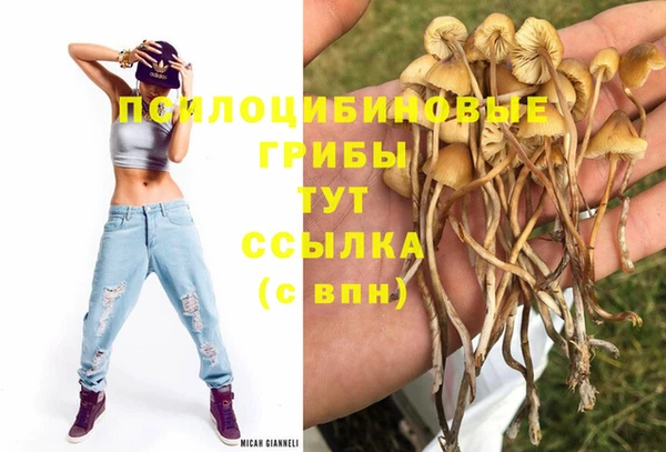 таблы Абдулино