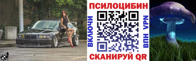 сколько стоит  Сысерть  Псилоцибиновые грибы мухоморы 
