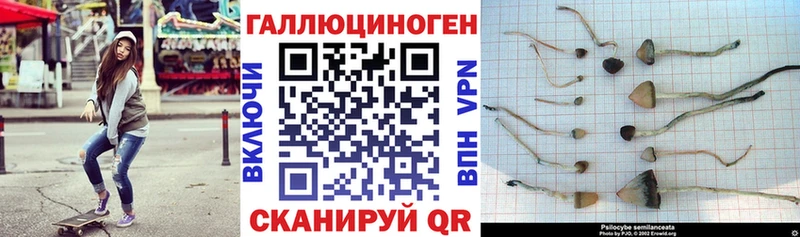 Галлюциногенные грибы мицелий Сысерть